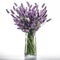 Elevating Beauty: Capturing Summer Lavender Flowers in a Tall Slim Vase, Isolated on White Background - Generative AI