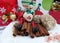 Elf, gingerbread, cinnamon sticks and Christmas decorations