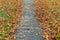 ELGIN, MORAY, SCOTLAND - 15 NOVEMBER 2021: this is a scene with Autumn Colours in Cooper Park, Elgin, Moray, Scotland on 15