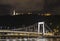 Elisabeth Bridge with the Citadel and Liberty Statue in Budapest