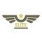 Elite air force icon logo, flat style