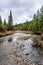 Elk Creek as summer turns to fall. Elk Creek Provincial Recreation Area Alberta Canada