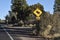 Elk Crossing Sign on the Side of Desert View Drive (Route 64) Next to a Forest of Evergreen Trees