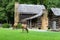 Elk Graze At Great Smoky Mountains Cabin