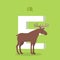 Elk with Letter E . ABC, Alphabet.