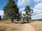 Elk Meadow Park in Evergreen, Colorado