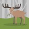 Elk in the spring forest. Elk is standing in the forest. Moose chewing on a branch.