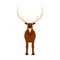 Elk vector illustration icon front view. Wildlife deer mammal art nature with horn. Antler head cartoon forest fauna zoo