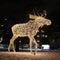 An elk walks across Floras kulle