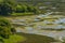 Elkhorn Slough Reserve, Monterey Bay, California