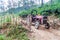 ELLA, SRI LANKA - JULY 14, 2016: Tractor at tea plantations near Ella, Sri Lan