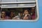 Ella, Sri Lanka, November 13, 2015: Sri Lankan family watching through the train window
