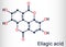 Ellagic acid, C14H6O8 molecule. It is natural phenol antioxidant, dietary supplement. Skeletal chemical formula