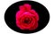 Elliptic shape black vector image and a bright coral red rose in the middle on white background. Flower vector design.