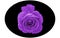 Elliptic shape black vector image and a bright dark purple rose in the middle on white background. Flower vector design.