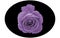 Elliptic shape black vector image and a bright purple rose in the middle on white background. Flower vector design.