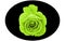 Elliptic shape black vector image and a bright yellow green rose in the middle on white background. Flower vector design.