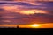 Ellis County, KS USA - Deer Couple Enjoying Evening Sky Spectacle on the Kansas Prairie