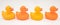 Î¥ellow and orange color rubber ducks isolated on transparent background, Ducks in a row. PNG