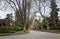 Elm alley in a quiet residential area with one-story houses in spring. Springtime cityscape.