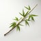 Elongated Green Leaves On White Surface With Bamboo Leaves