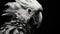 Elongated Parrot Human Hybrid: Intricate Black And White Digital Art