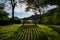 Elongated shadows casted on a meadow by a wooden bench