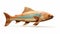 Elongated Wooden Fish Sculpture On White Background