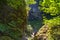 Elowah Falls Trail in the Columbia River Gorge