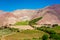 Elqui Valley Vines