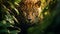 Elusive Majesty: Jaguars Stealthy Stalk in Enchanting Rainforest