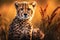 Elusive Wild cheetah animal nature. Generate Ai