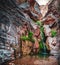 Elves Chasm Deep In The Grand Canyon