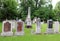 The Ely Cemetery