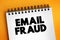 Email fraud - intentional deception for either personal gain or to damage another individual by means of email, text concept on