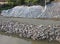 embankment consolidation work of the river bacchiglione in vicenza