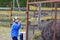 Embarrassed boy smiling feeding the African ostrich in the cage