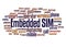 Embedded SIM word cloud concept