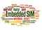 Embedded SIM word cloud concept 2