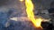 Embers glowing in blazing fire burning charcoal