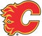 The emblem of the hockey club Calgary Flames. USA.