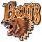 Emblem of the team Bears.