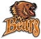 Emblem of the team Bears.
