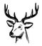 Emblem young deer