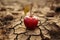 Emblematic apple on dry earth illustrates food insecurity, water shortage, agricultural crisis