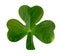 Emblematic Shamrock