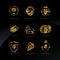 Emblems with golden Lions