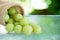 Emblica,amla green fruits
