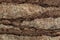 Embossed texture of the bark. Panoramic photo of bark of old cork tree, folds, cracks. Old Wood Tree Background Pattern.