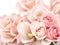 Embrace the Beauty of Light Pink Roses for a Timeless Floral Experience.